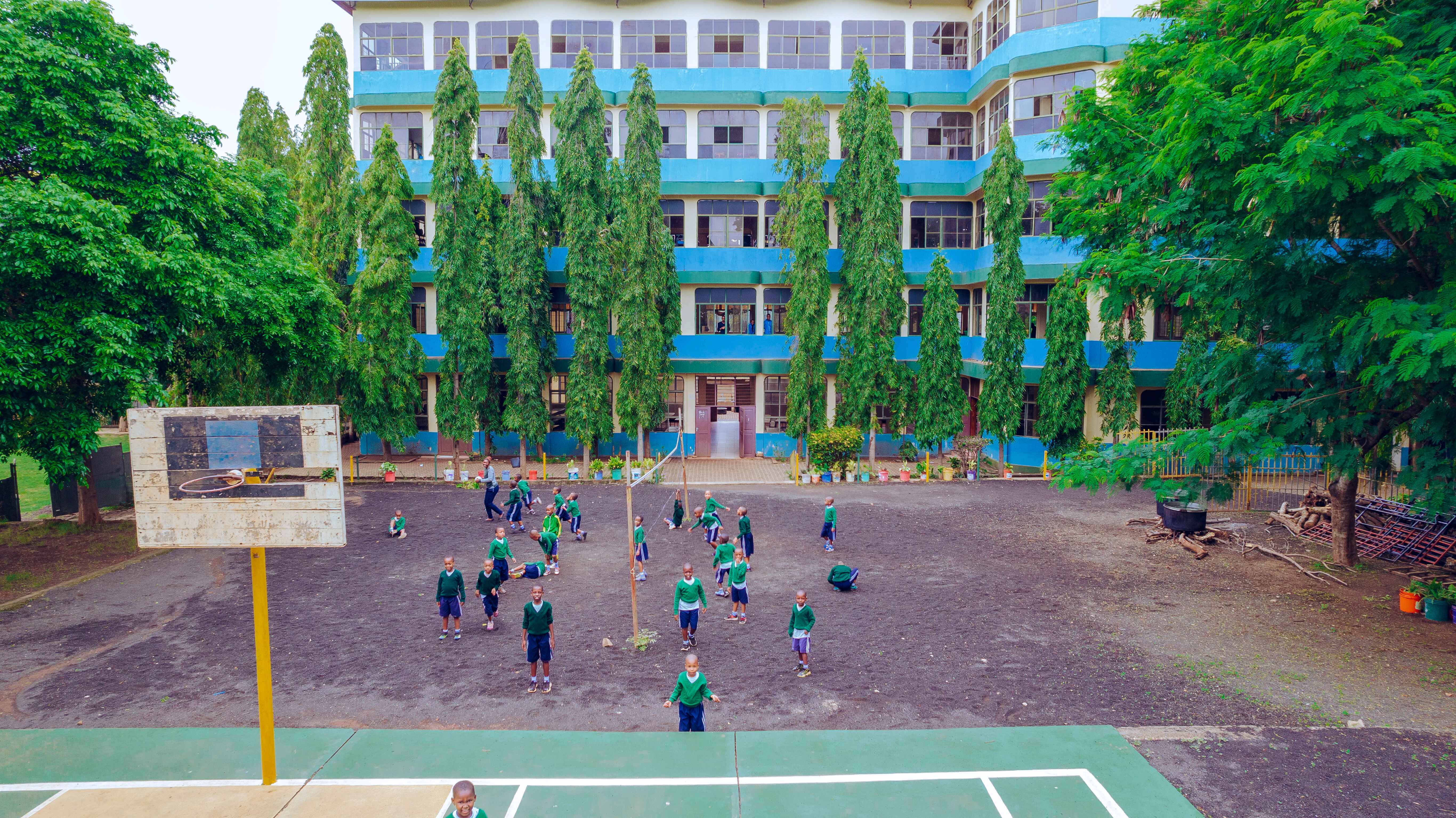activity photo